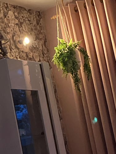 Customer photo review of Varen Kunst Hangplant 65cm