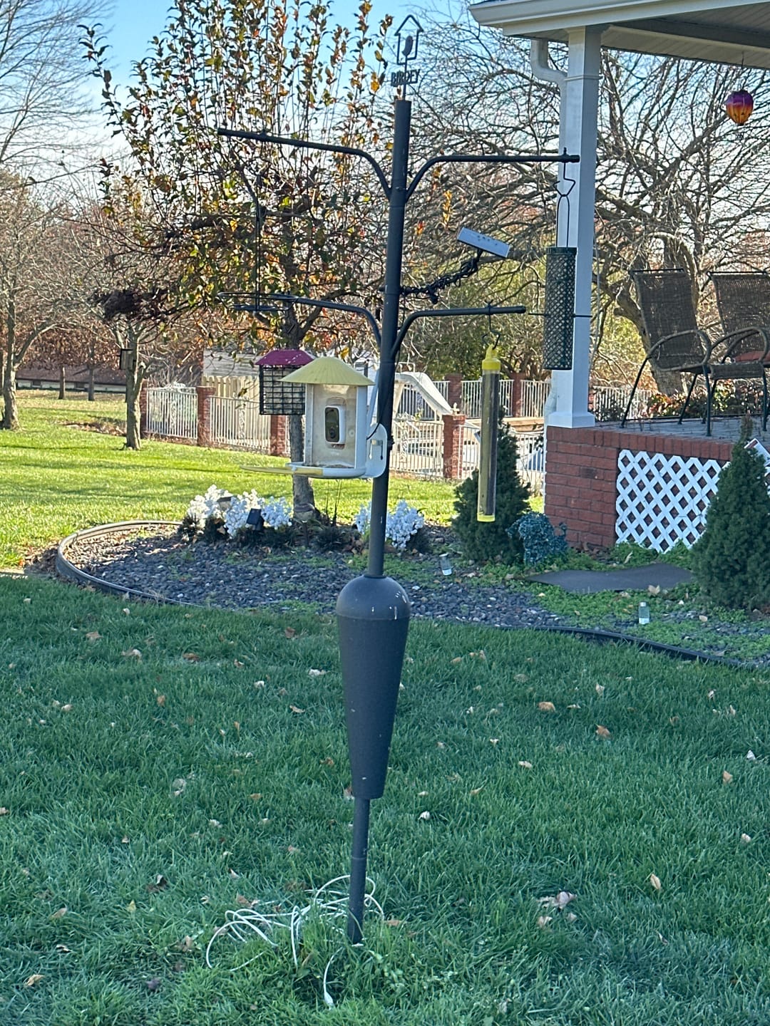 Customer photo review of Birdfy Pole - Bird Feeder Pole
