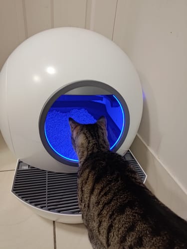 Customer photo review of PaWz Automatic Smart Cat Litter Box Self-Cleaning