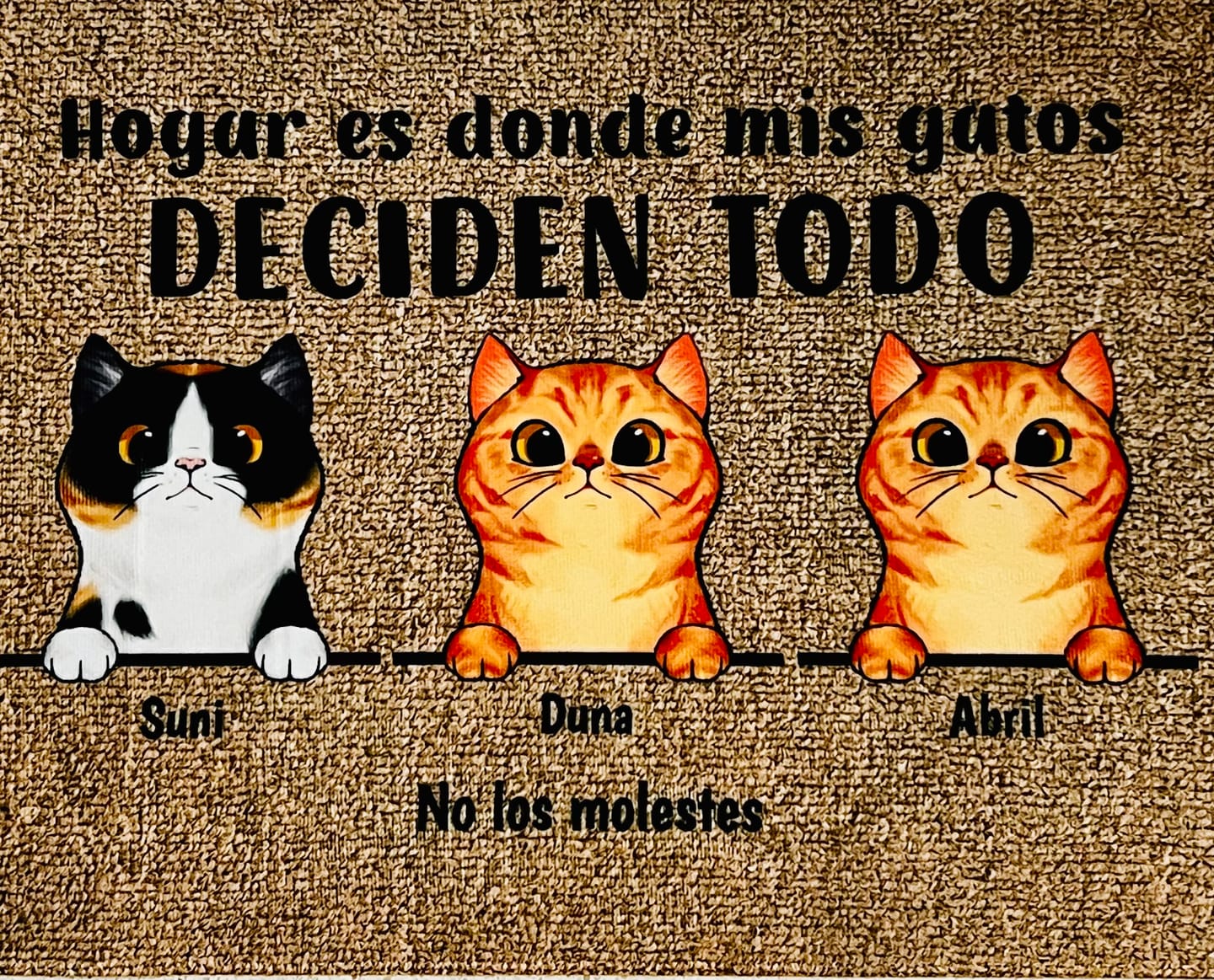 Customer photo review of Bienvenidos a lo de gatos curiosos - Felpudo personalizado