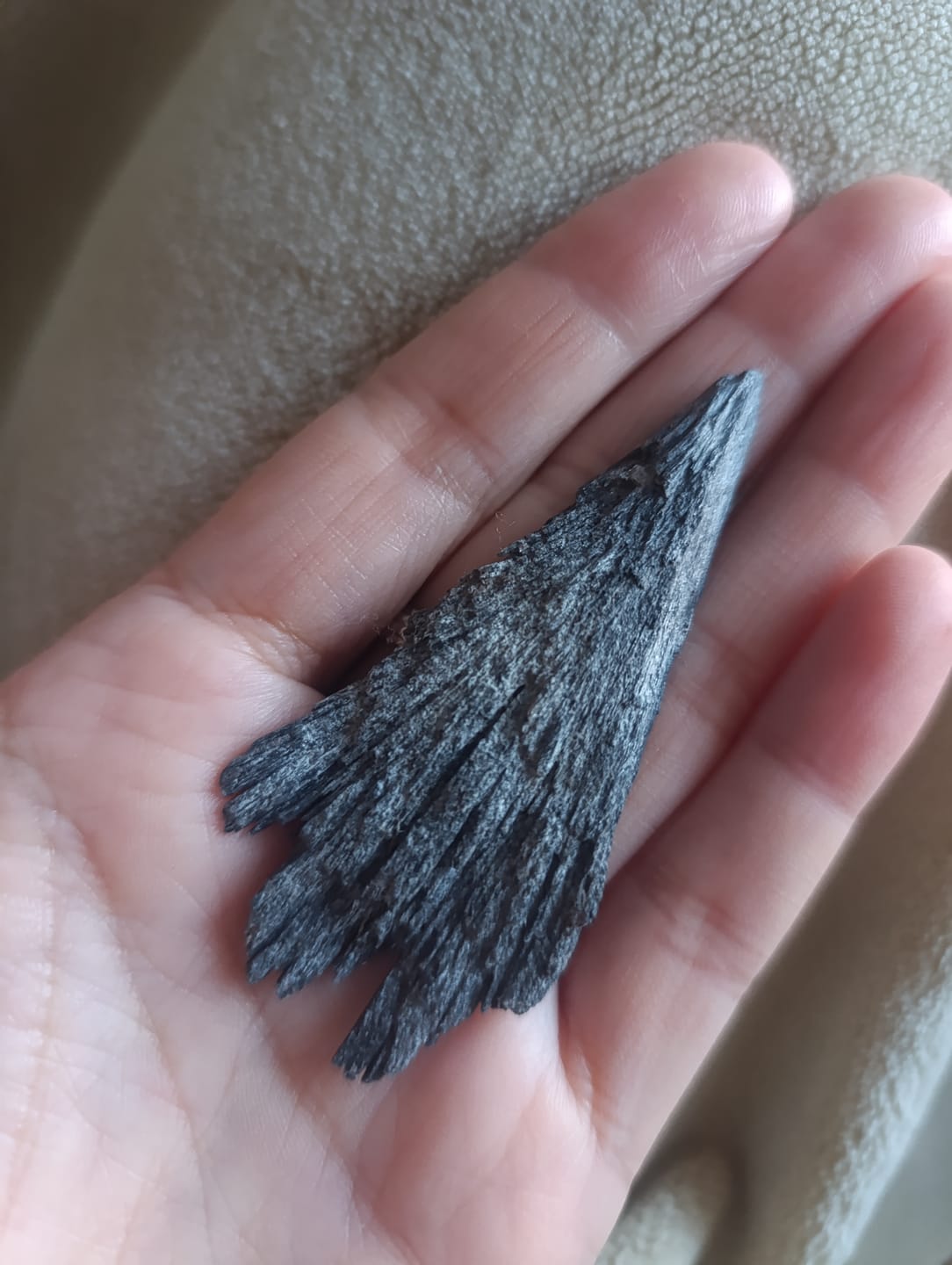 Customer photo review of Escoba de bruja | Fortaleza - Protección