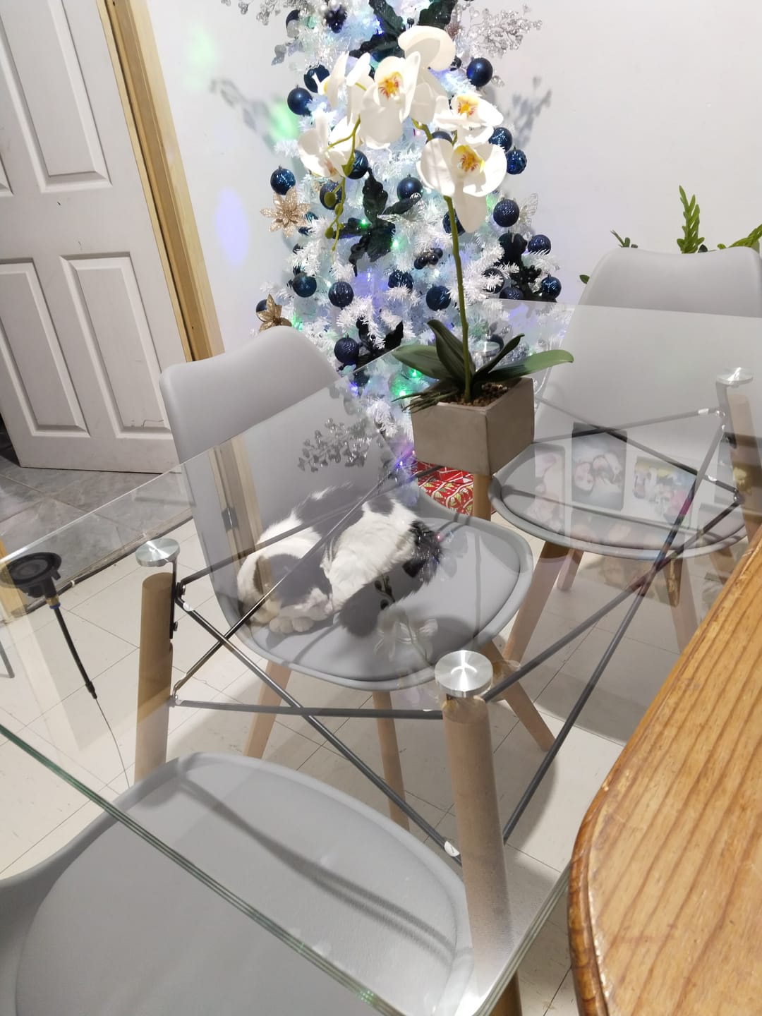 Customer photo review of Comedor Mesa Oslo Cristal T5  + 4 Sillas Frankfurt