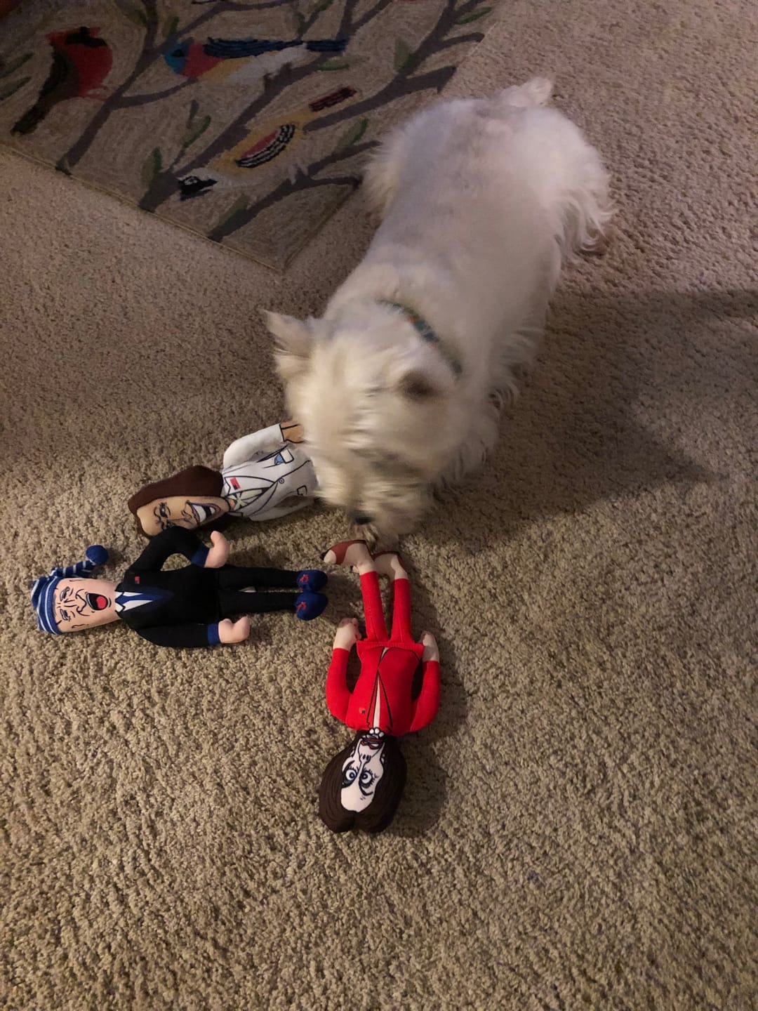 Customer photo review of Joe Biden Kamala Harris & Nancy Pelosi Starter Pack Tough Plush Dog Chew Toys with Squeakers - Official Republican Dogs