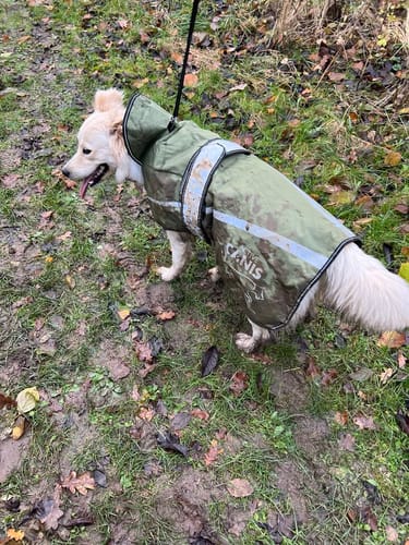 Customer photo review of Active Canis - 2-i-1 Hundejakke, khaki