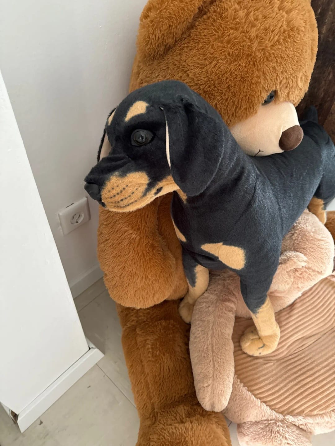 Customer photo review of Peluche Rottweiler Dog