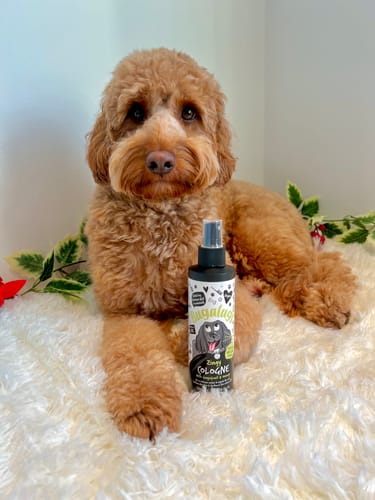 Customer photo review of Zingy Dog Cologne (Grapefruit & Orange)