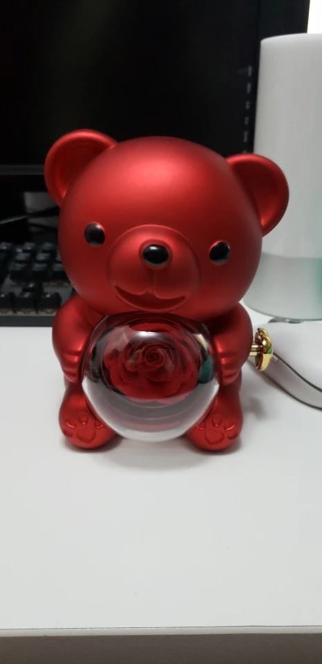 Customer photo review of Eternal Rose Teddy Bear & Necklace