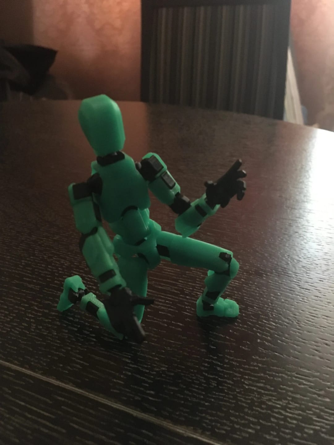 Customer photo review of Dummy 13