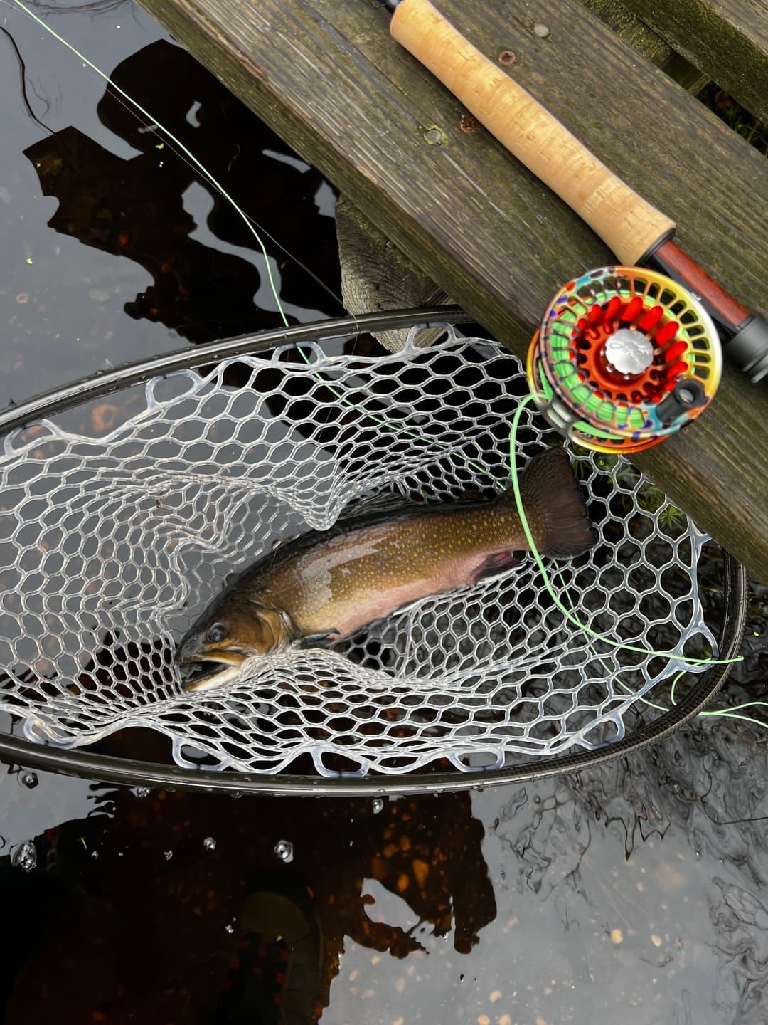 Customer photo review of Abel TR Fly Reel