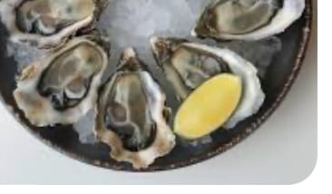 Customer photo review of Fresh Medium Half Shell Oysters - 6 pieces **FREE GIFT**