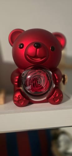 Customer photo review of Eternal Rose Teddy Bear & Necklace