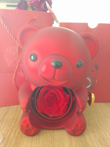 Customer photo review of Eternal Rose Teddy Bear & Necklace