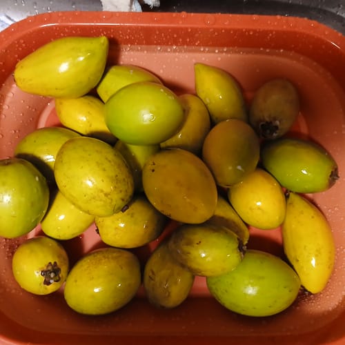 Customer photo review of Egg Fruit (Canistel)***Pre Order***