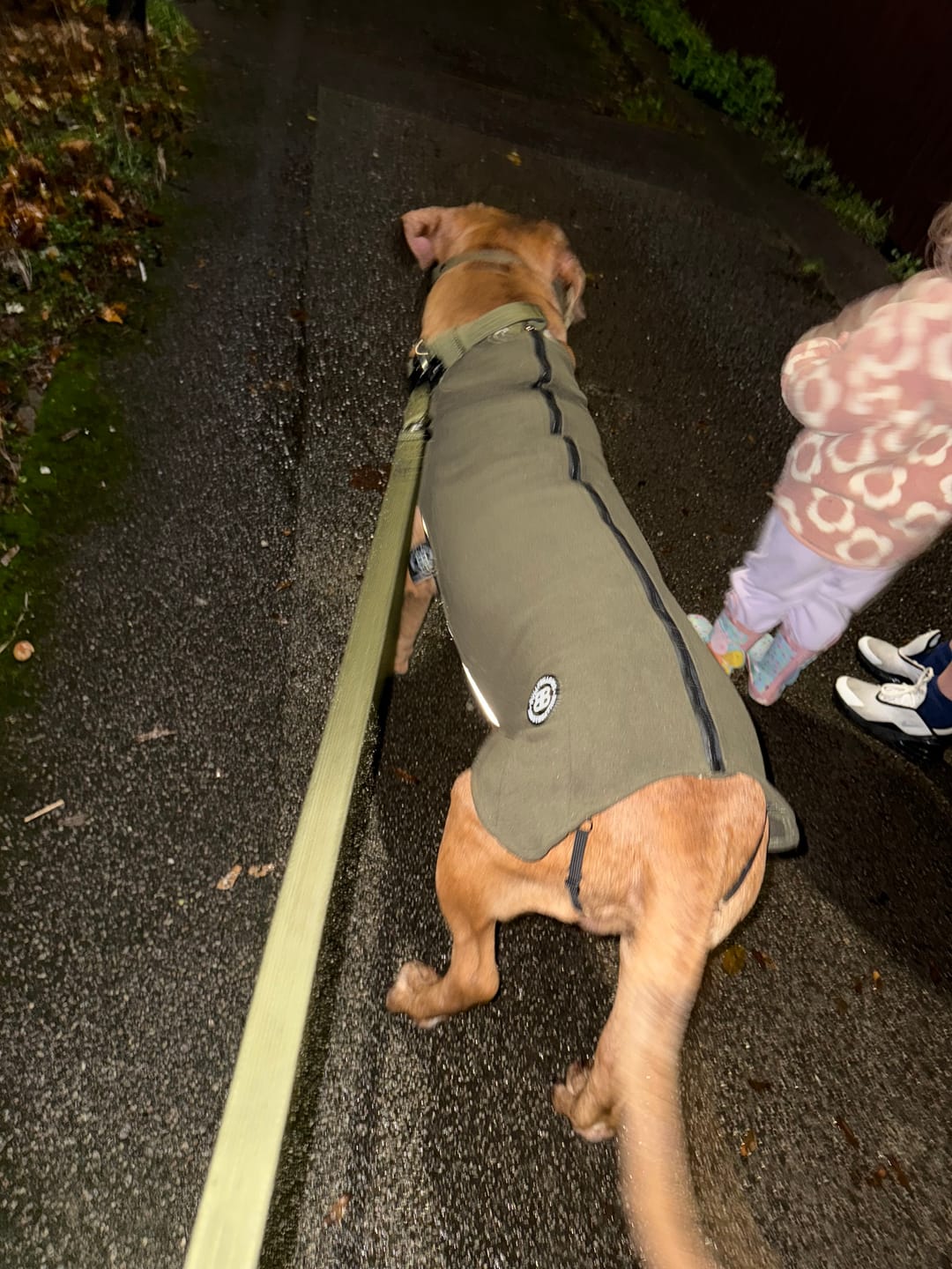 Customer photo review of Dog Fleece With Zip - Khaki