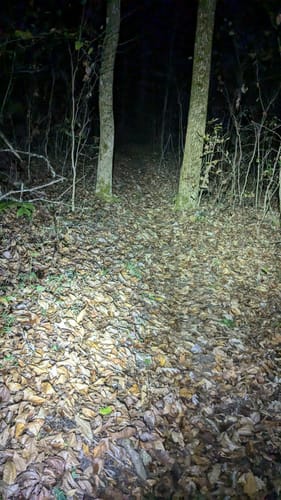 Customer photo review of MJ-906S All-Around Bike Headlight