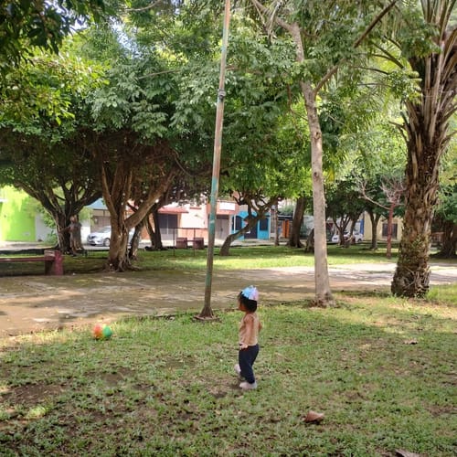 Customer photo review of Friso Gold 3 (1-3 Años) Caja Pack C/ 1.6 Kg