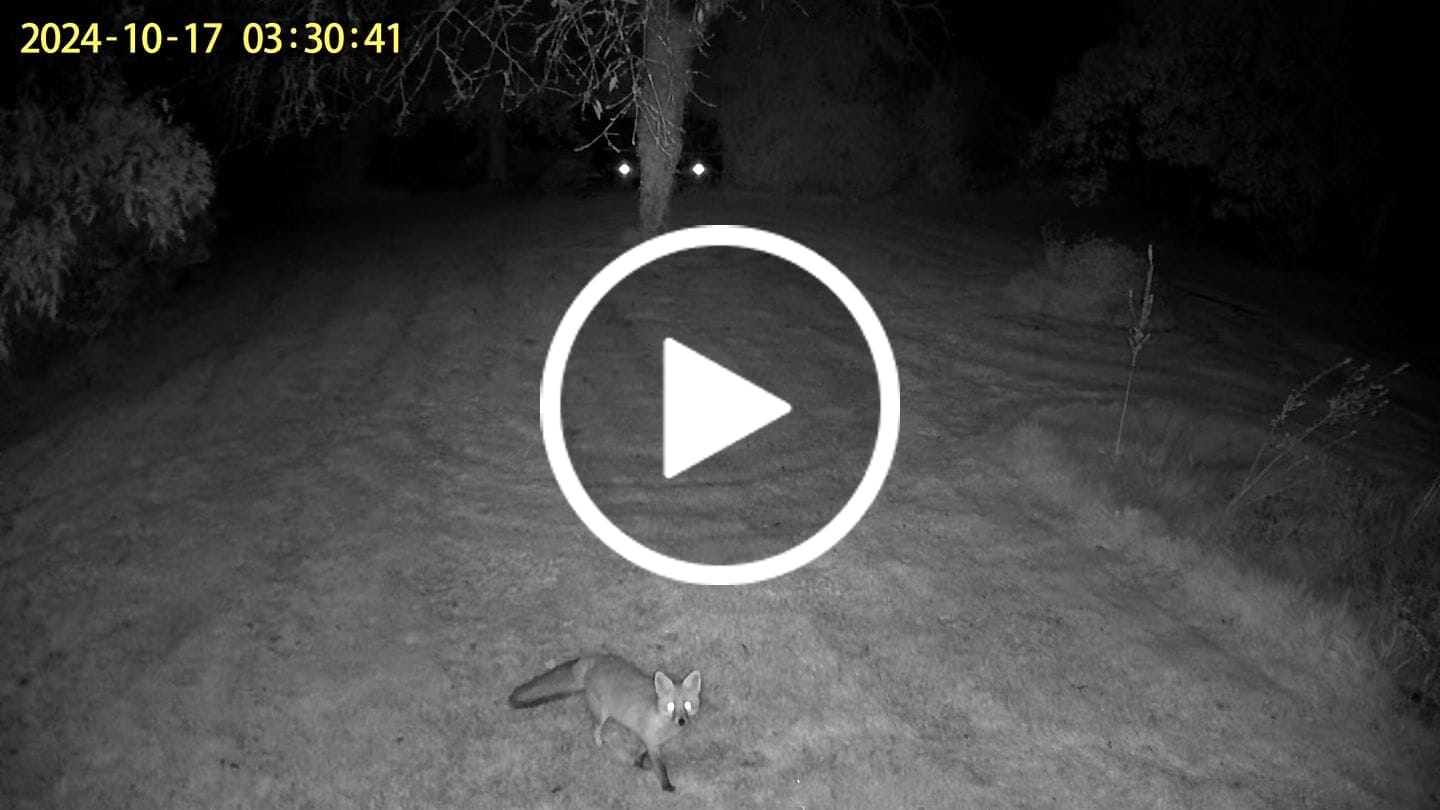 Customer video review of Wireless Camera V3S