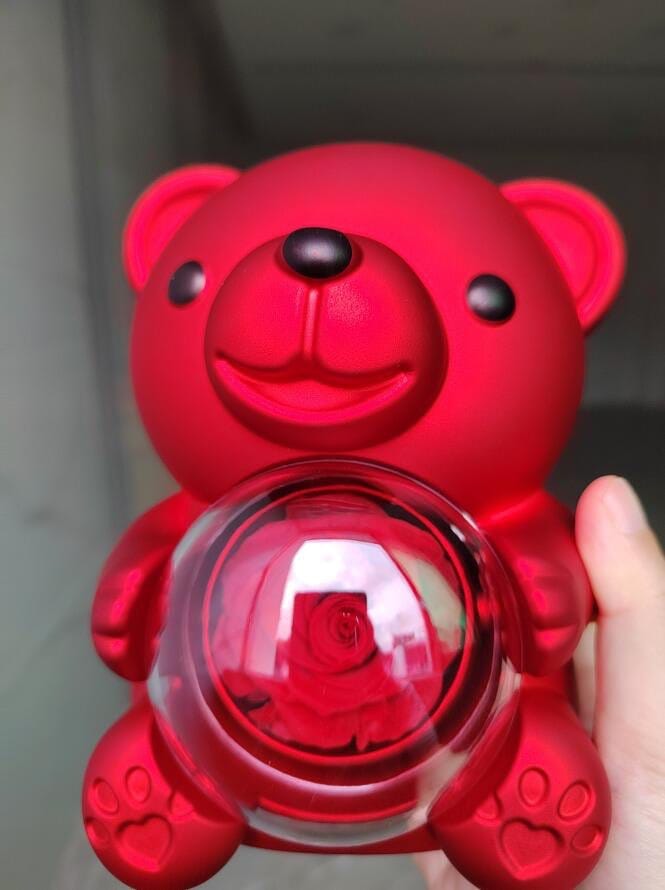 Customer photo review of Eternal Rose Teddy Bear & Necklace