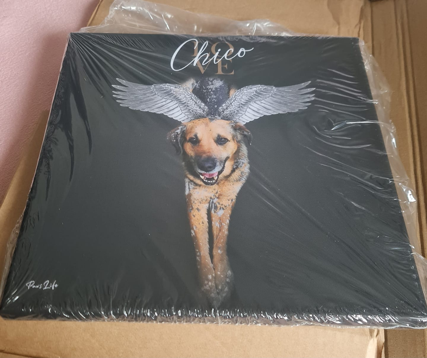 Customer photo review of Personalisiertes Portrait - Silberner Engel Stil