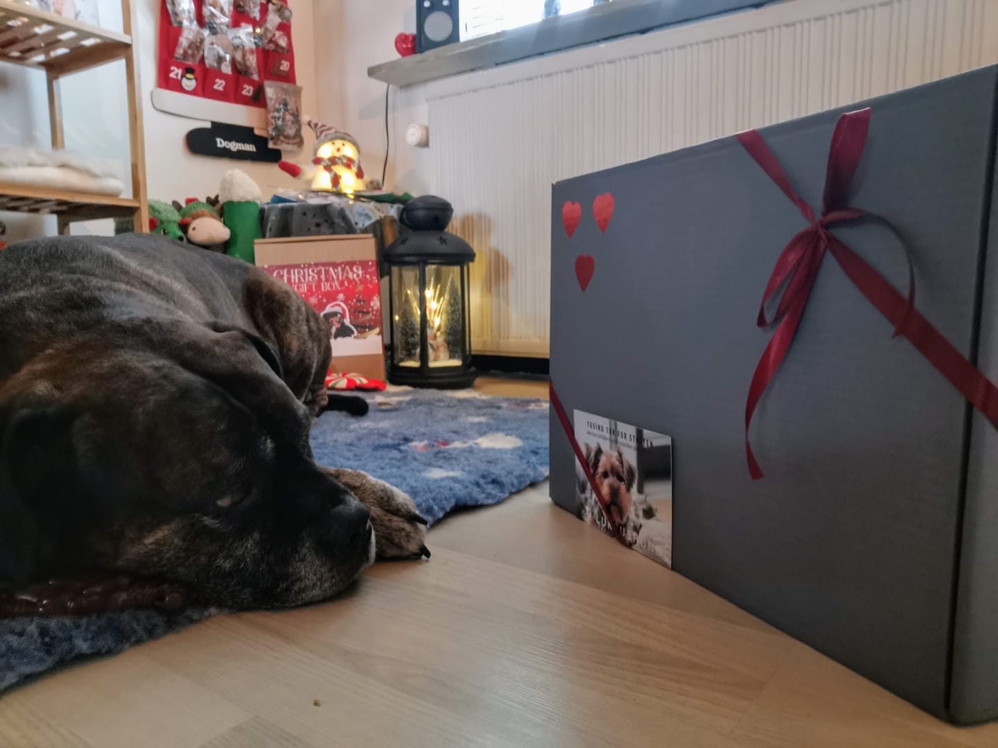Customer photo review of Luksushund's Adventskalender: 4 gaver til din hund