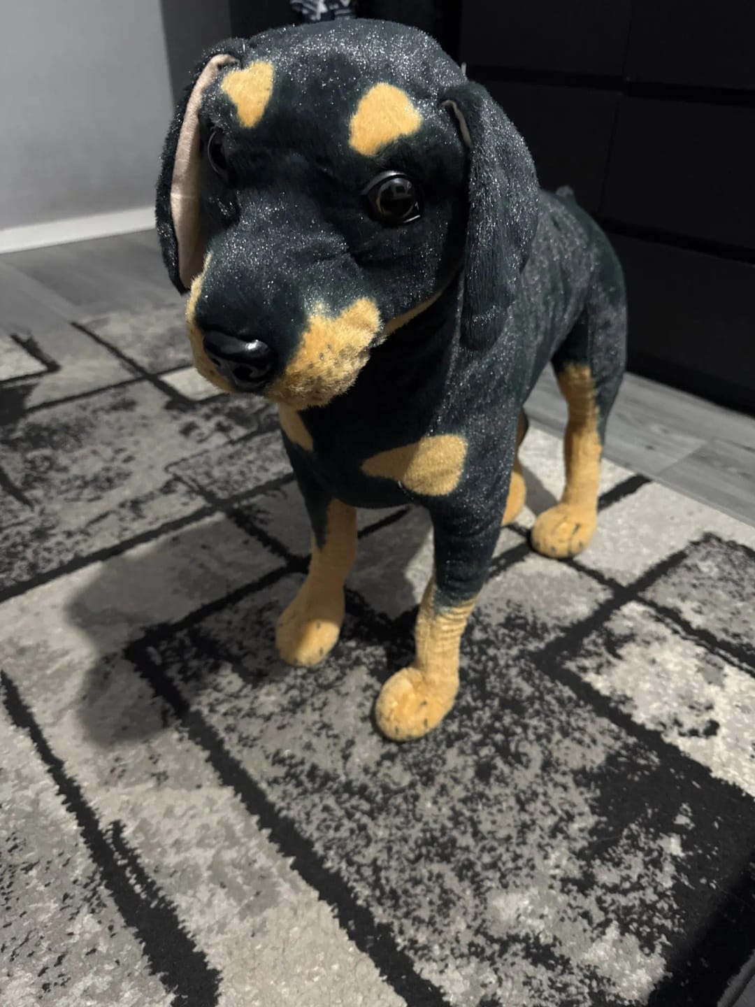 Customer photo review of Peluche Rottweiler Dog