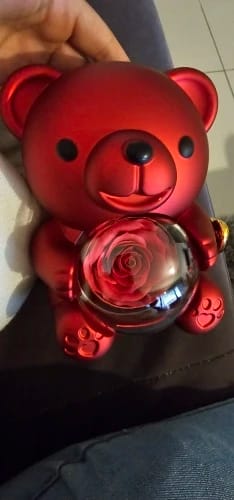 Customer photo review of Eternal Rose Teddy Bear & Necklace