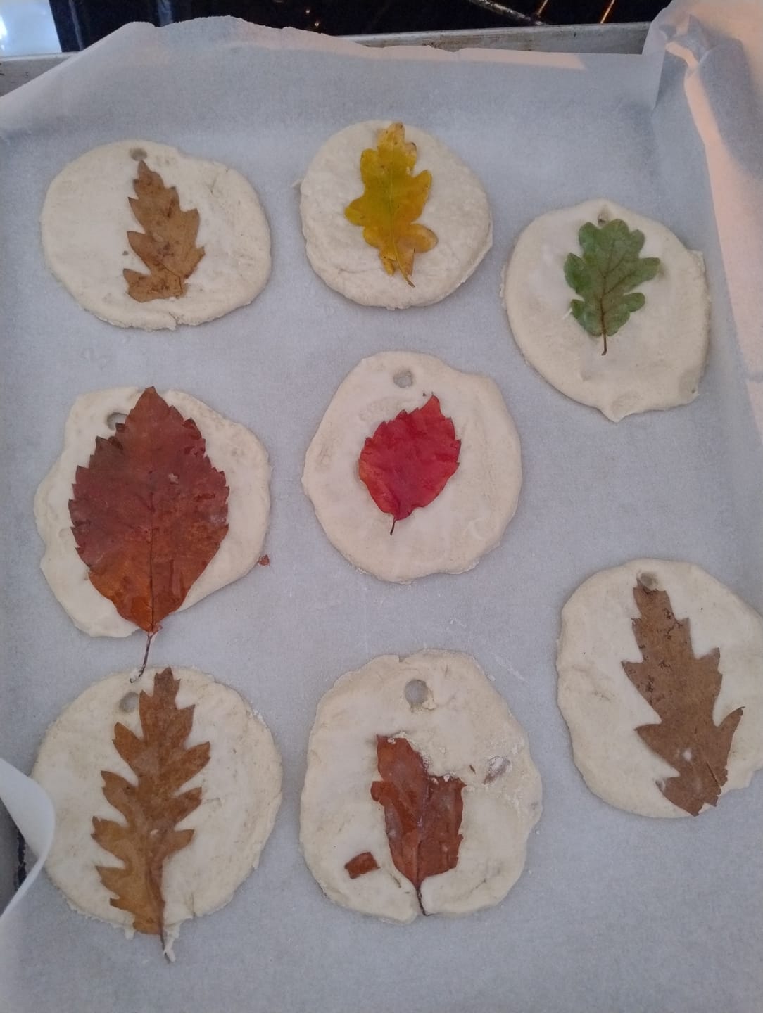 Customer photo review of Autumn Curriculum