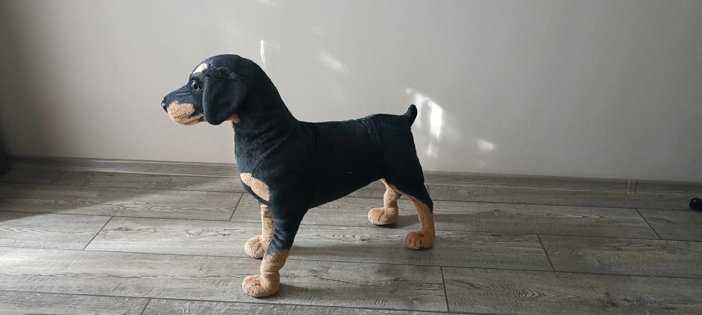 Customer photo review of Peluche Rottweiler Dog
