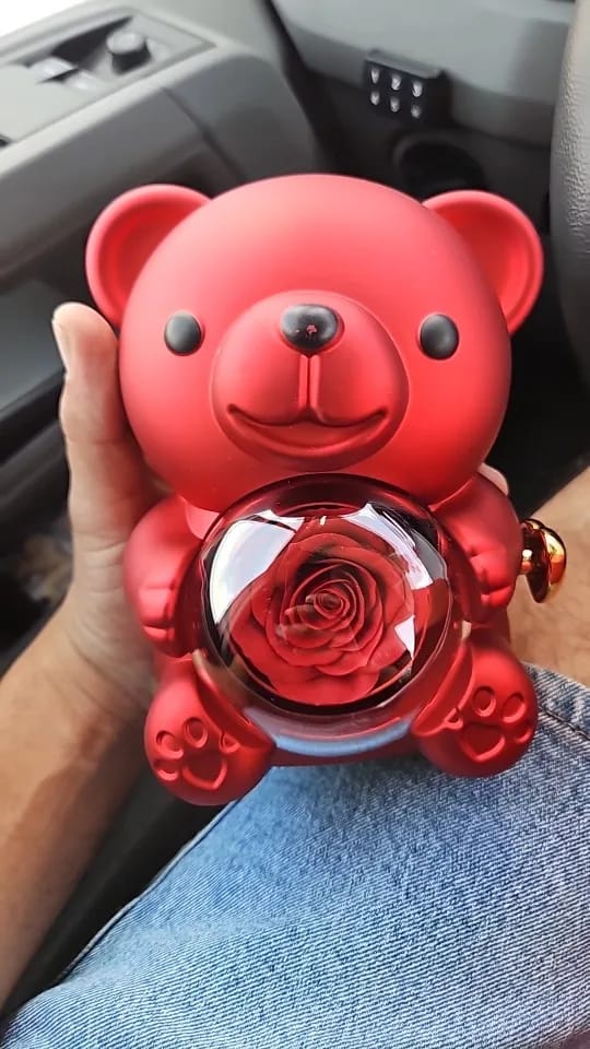 Customer photo review of Eternal Rose Teddy Bear & Necklace