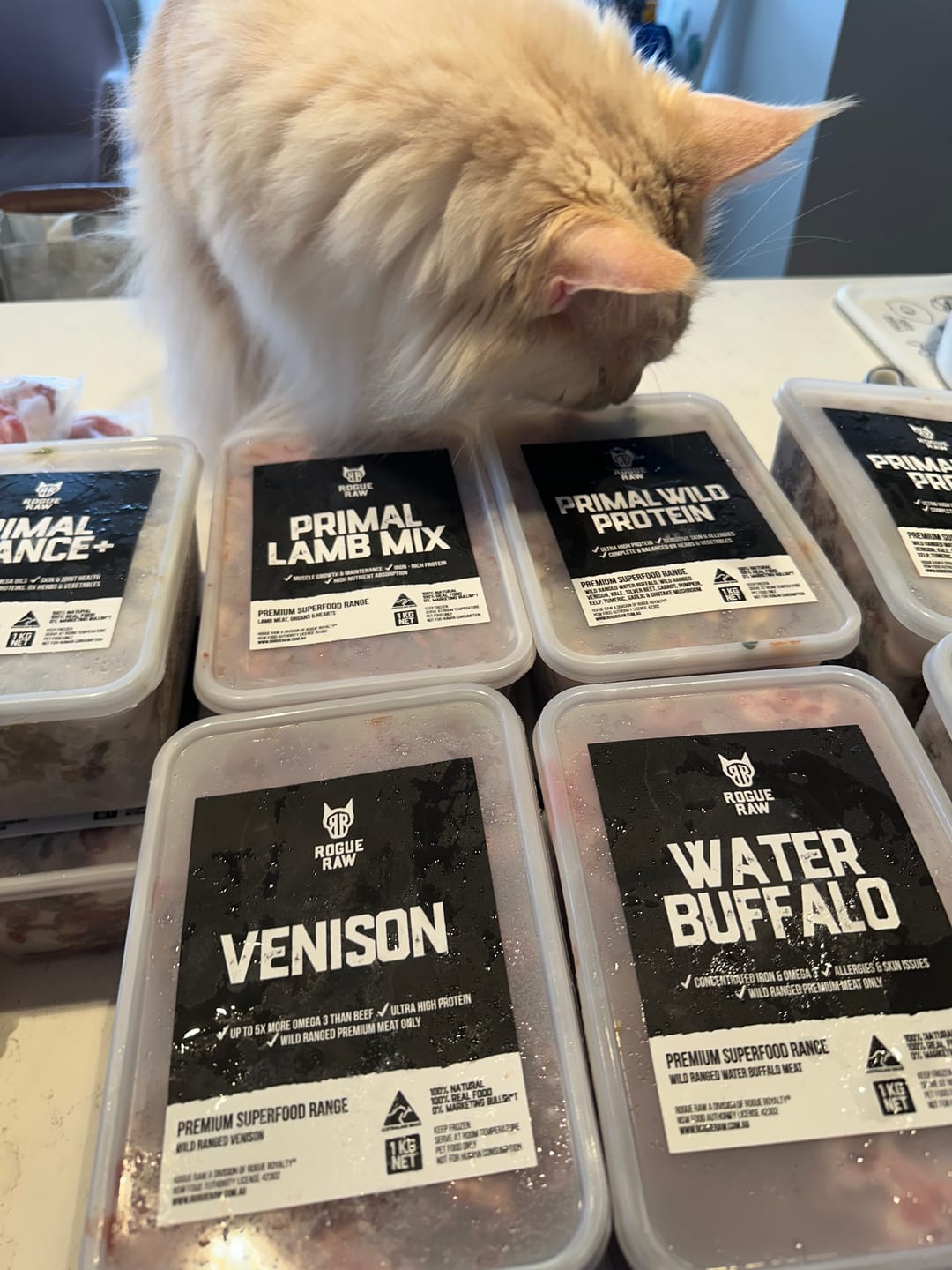Customer photo review of Primal Venison - Raw Free ranged for dogs and cats