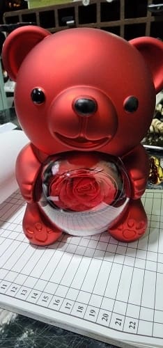 Customer photo review of Eternal Rose Teddy Bear & Necklace