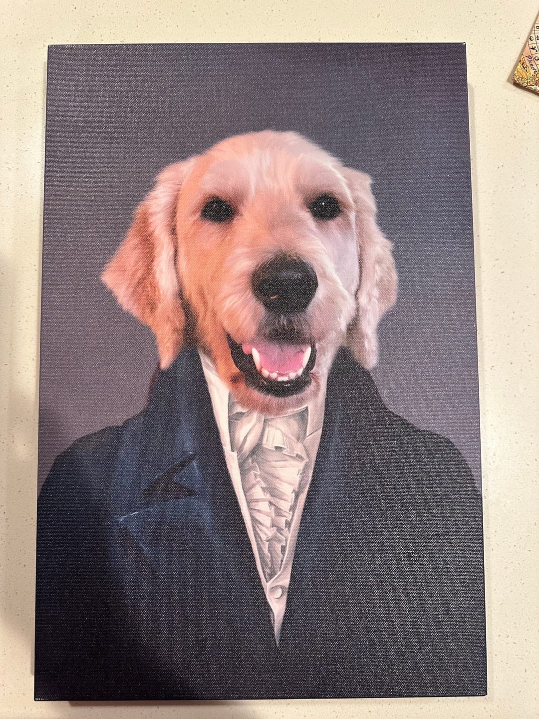 Customer photo review of Le Député