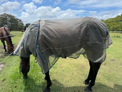 Customer photo review of LE Defender Anti-Insect Fly Rug