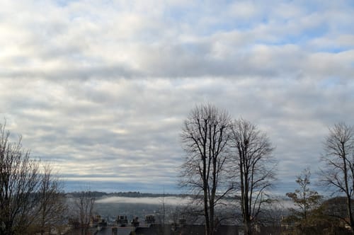 Customer photo review of Google Pixel 7 5G Refurbished SIM Free Unlocked