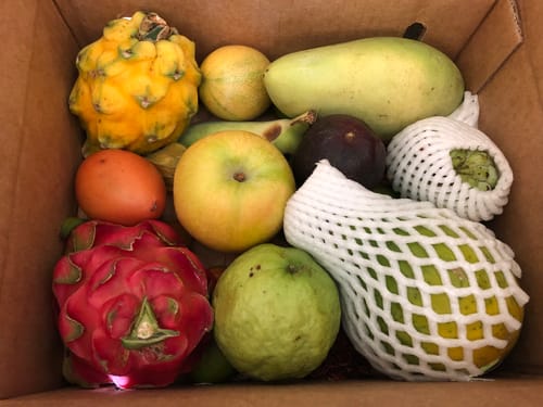 Customer photo review of Variety Box