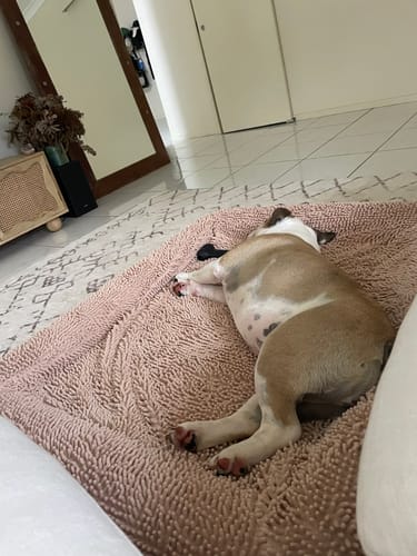 Customer photo review of Sleep Set