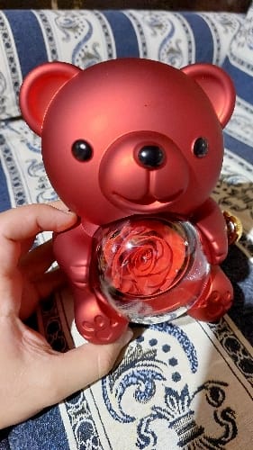 Customer photo review of Eternal Rose Teddy Bear & Necklace