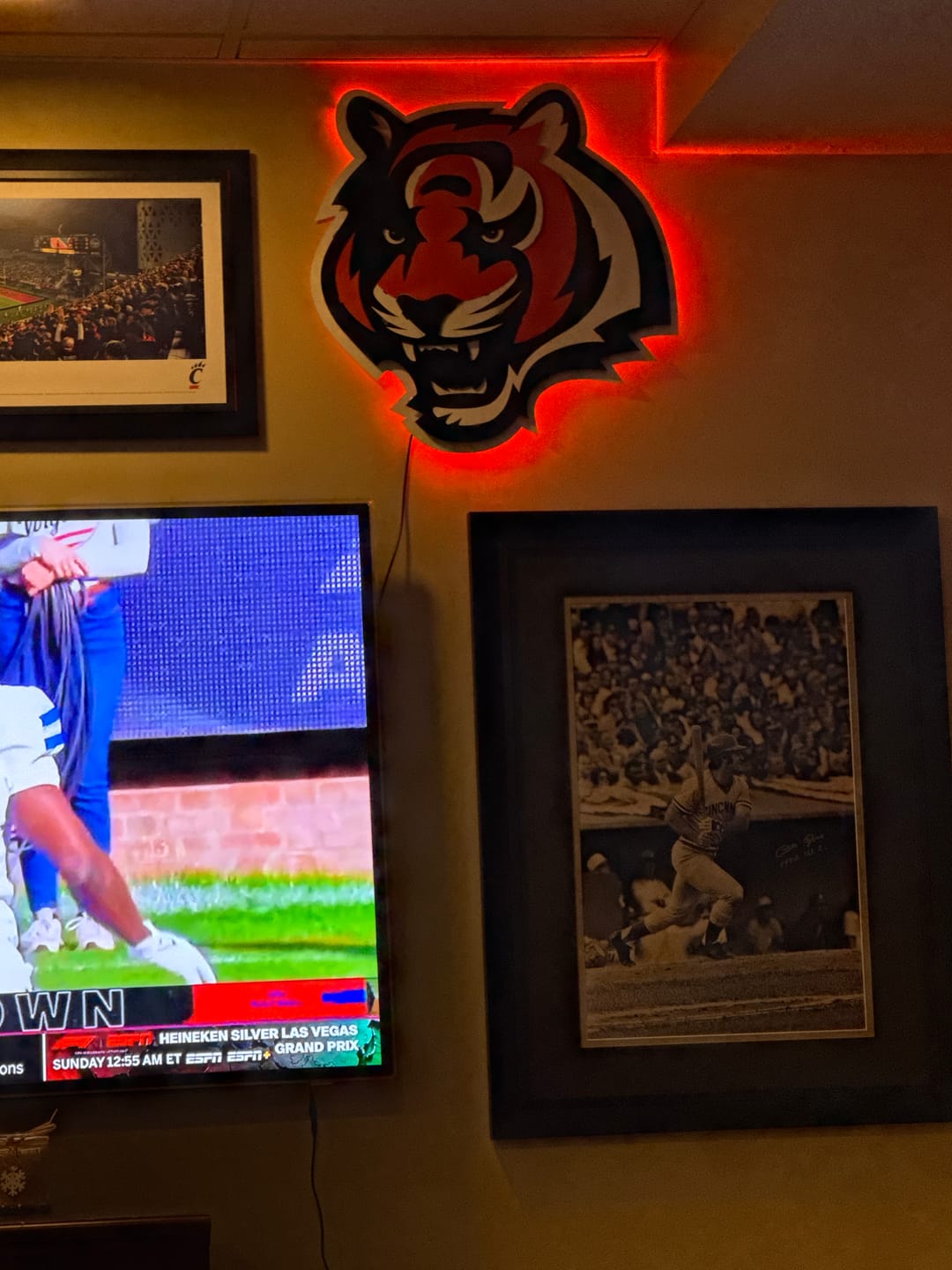 Customer photo review of Cincinnati Bengals "Tiger Mascot" 3D Vintage Metal Wall Art