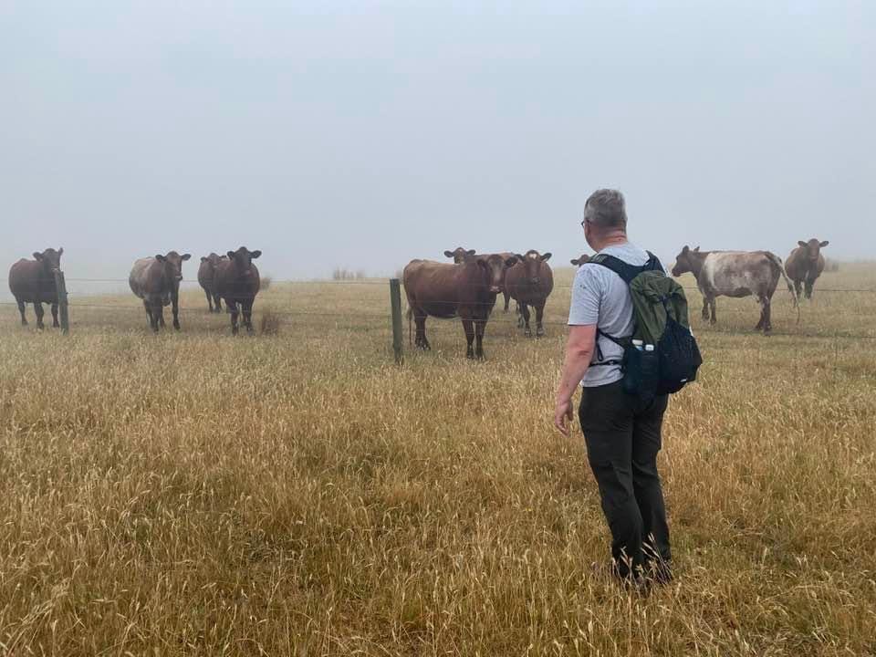 Customer photo review of Ultralight Daypack - 20L