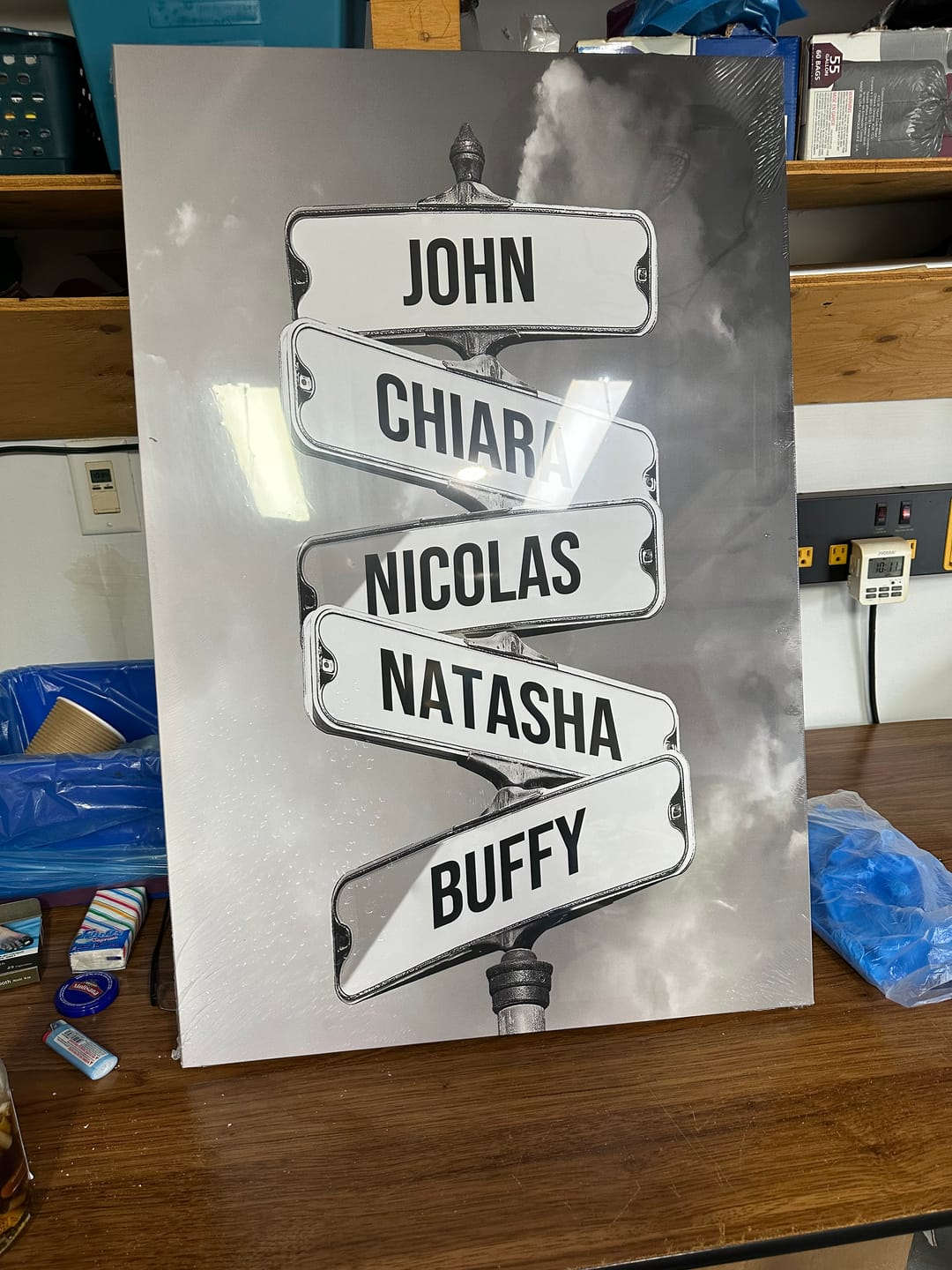 Customer photo review of NAMES ONLY STREET SIGN by Cstm Canvas
