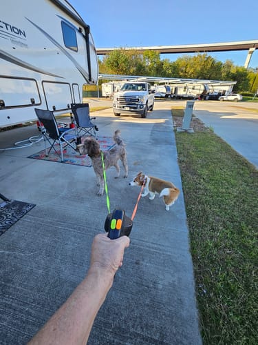 Customer photo review of TangleFree