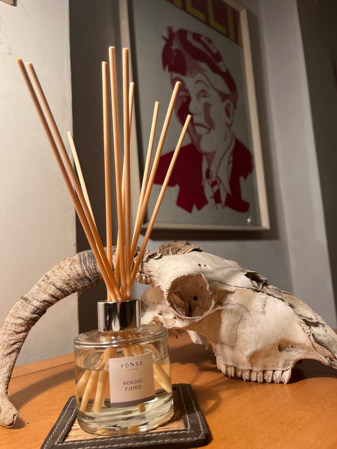 Customer photo review of Nordic Fjord Reed Diffuser