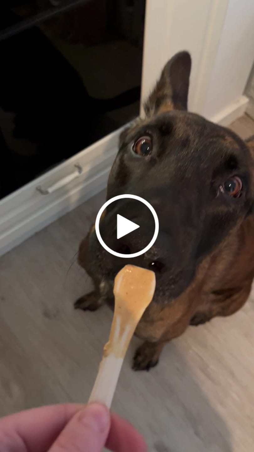 Customer video review of Geweldig Genoten | Pindakaas voor honden