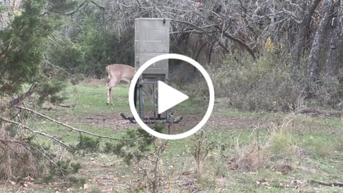 Customer video review of Beast Broadheads