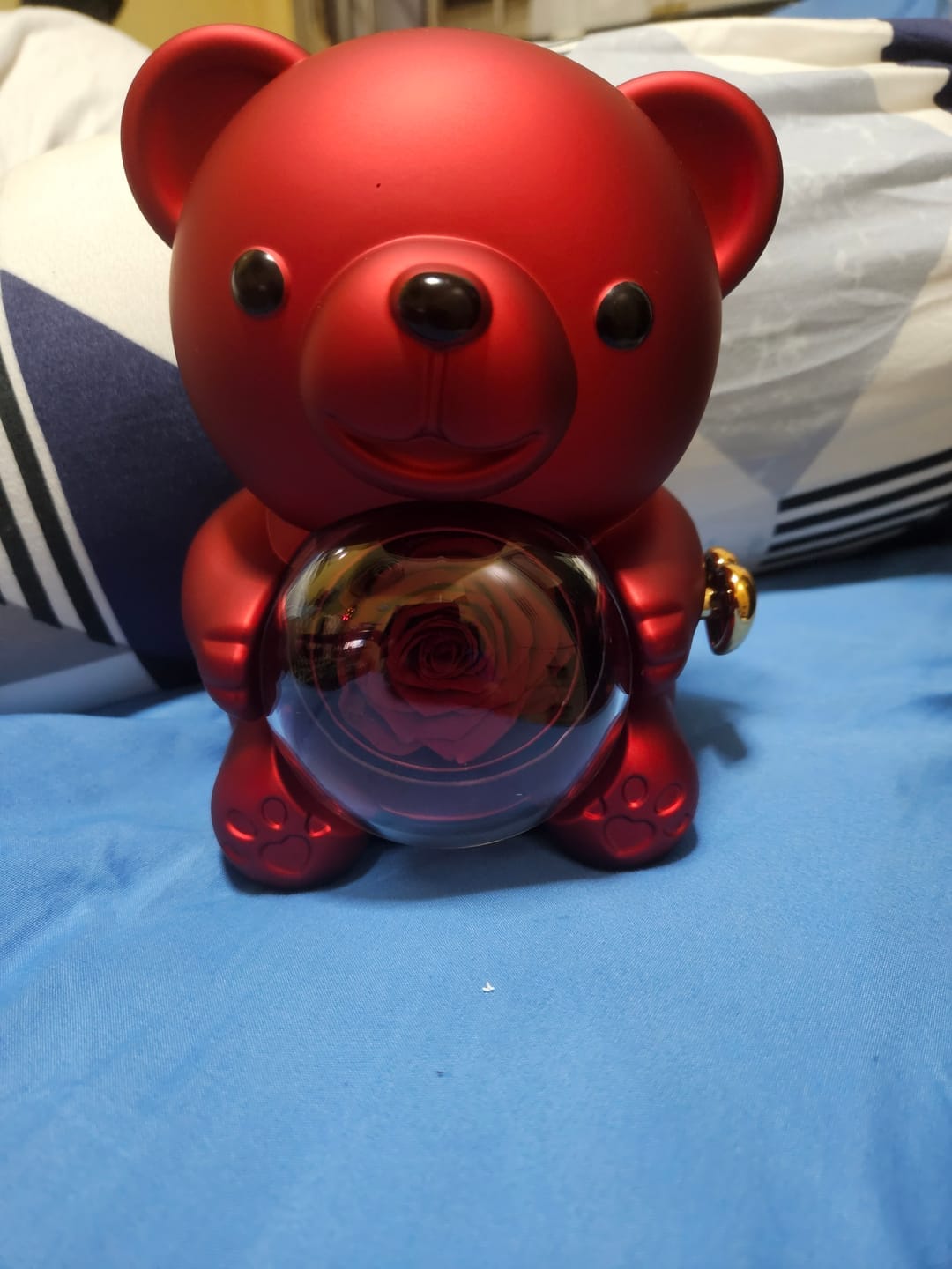 Customer photo review of Eternal Rose Teddy Bear & Necklace