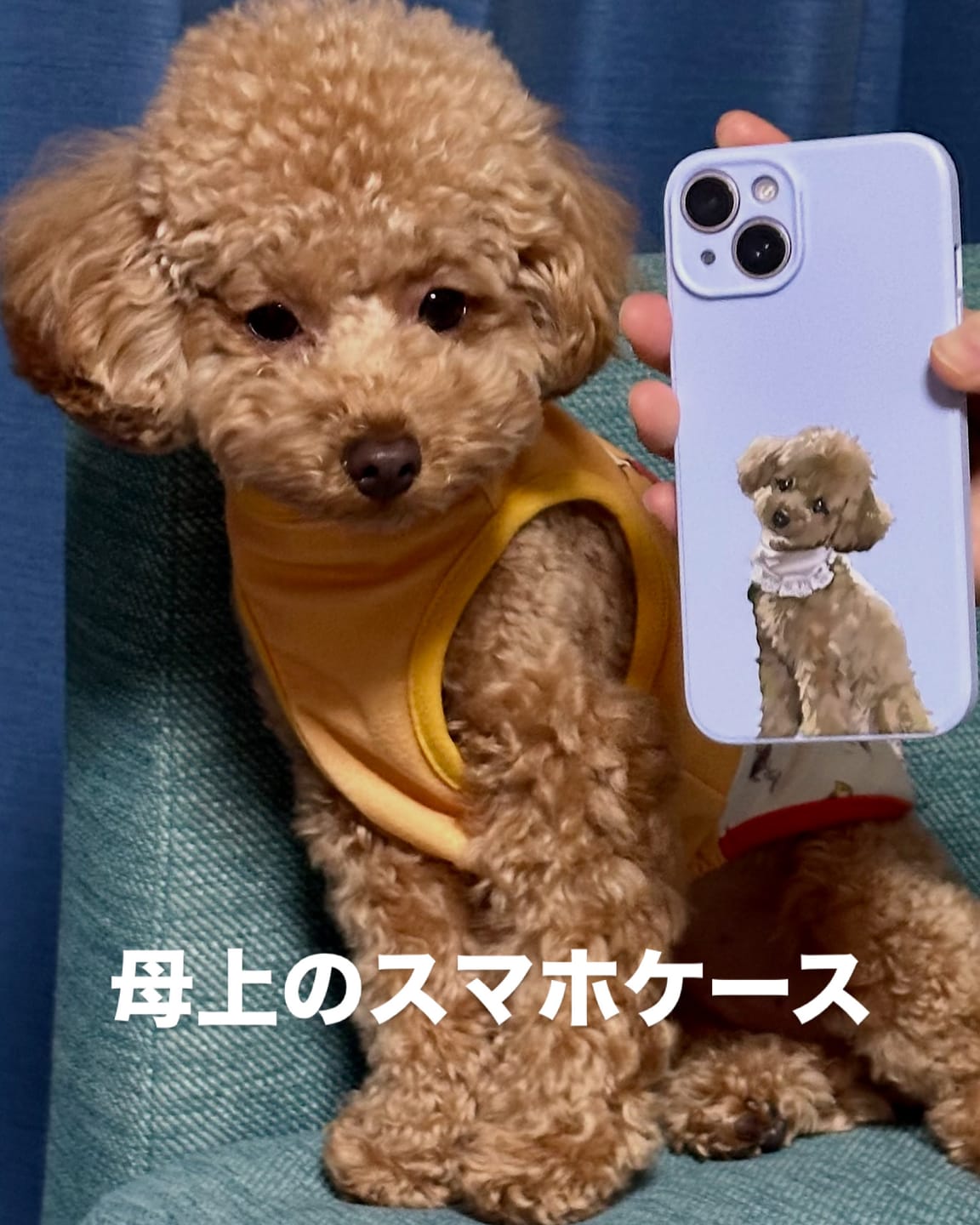 Customer photo review of ペットの写真で作るオリジナルユアフォトスマホケース02（iPhone,Android）
