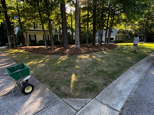 Customer photo review of GCI Turf Spreader Elite Grass Seed