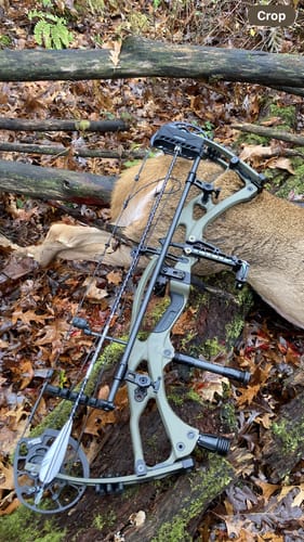 Customer photo review of Beast Broadheads