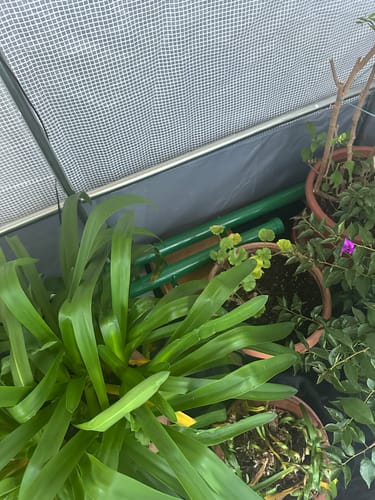 Customer photo review of Elektrogewächshausheizung Kompakter Frostwächter mit 135 Watt