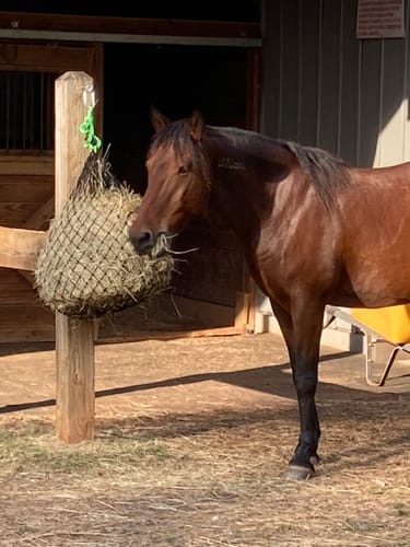Customer photo review of Hay Chix® Half Bale Net